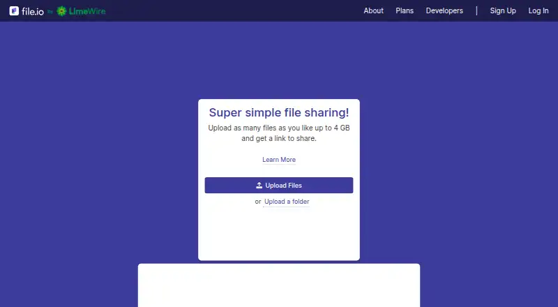 file.io screenshot