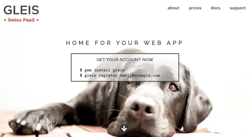 Gleis PaaS screenshot