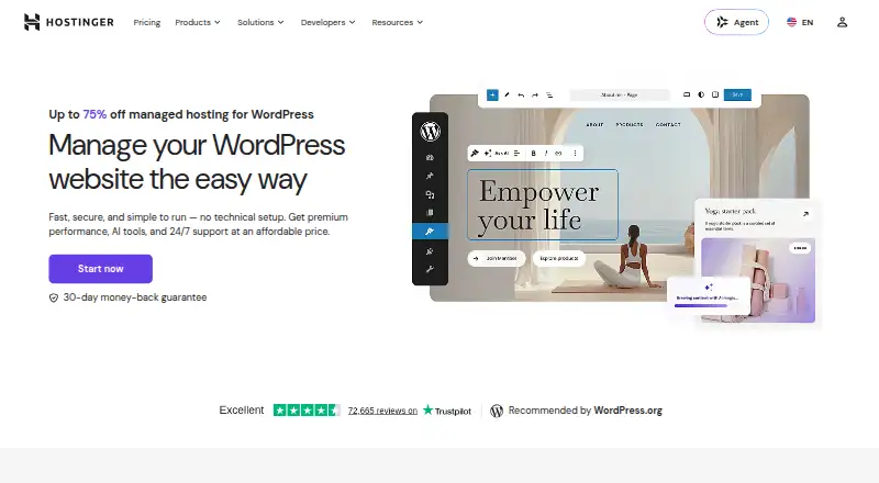 Hostinger Managed WordPress screenshot