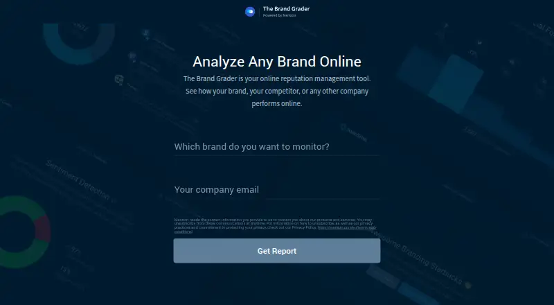 The Brand Grader screenshot