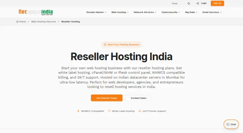 Netspace India Reseller Hosting screenshot