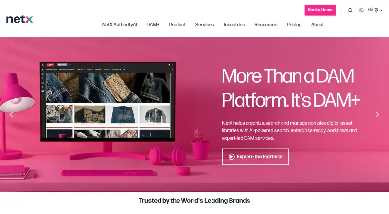 NetX screenshot