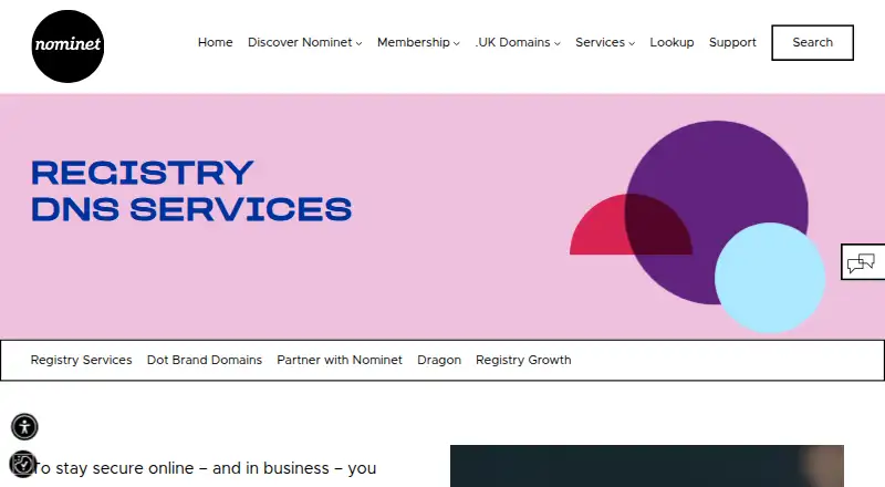Nominet Registry Public DNS screenshot