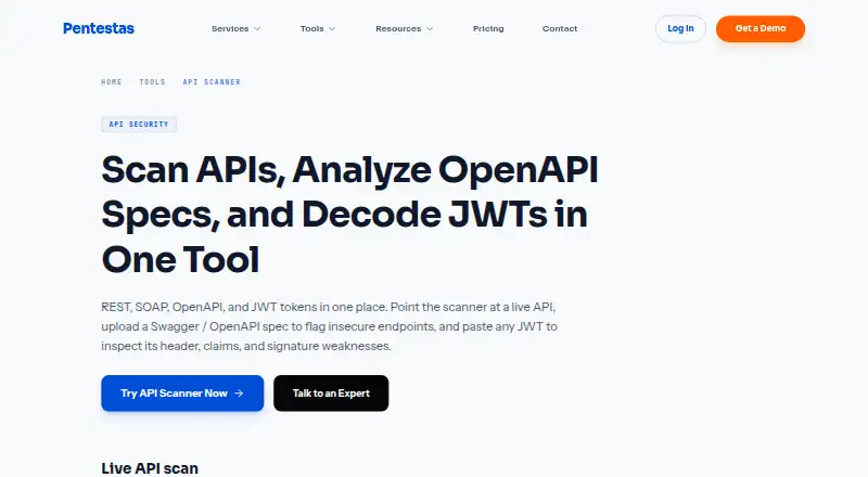 Pentestas API Scanner screenshot