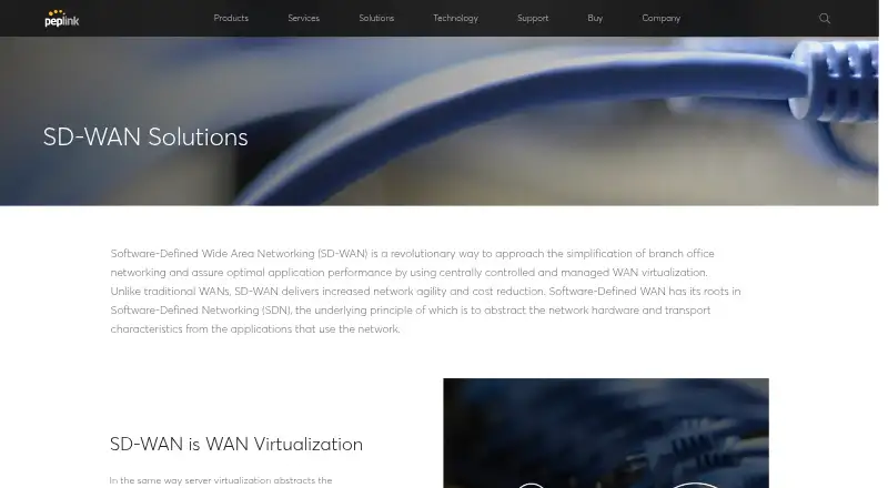 Peplink SD-WAN screenshot