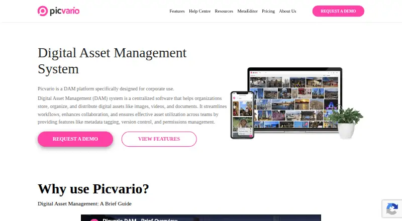 Picvario screenshot