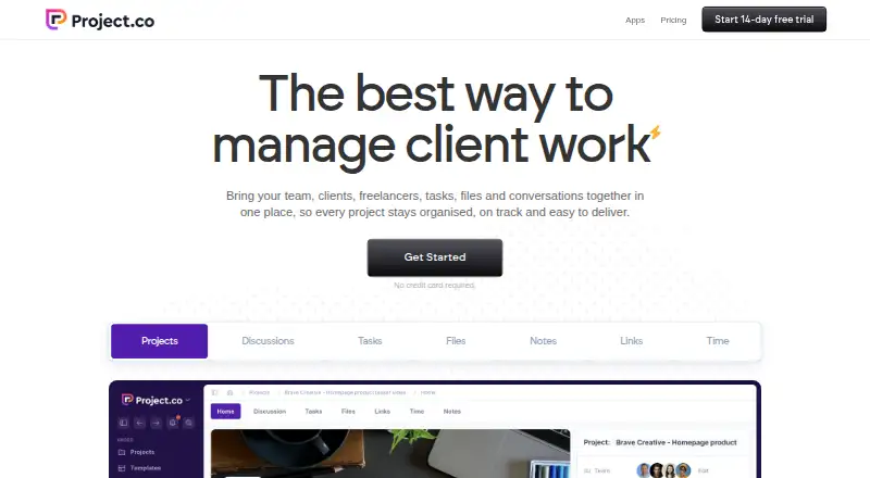 Project.co screenshot
