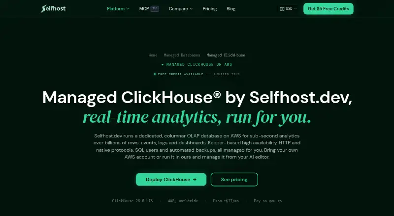Selfhost.dev Managed ClickHouse screenshot