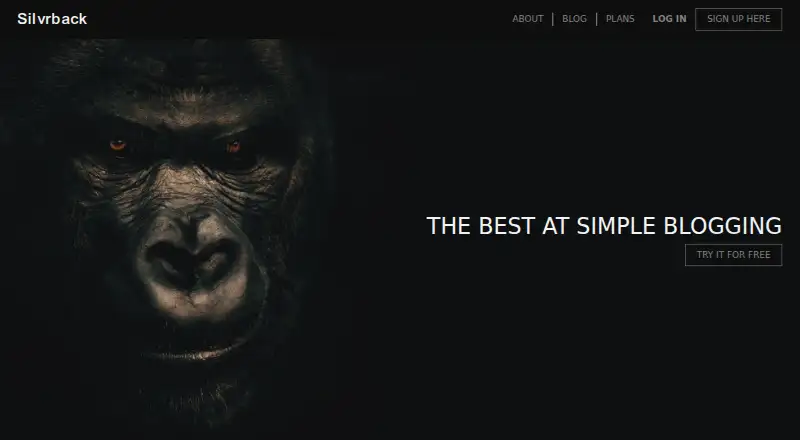 Silvrback screenshot