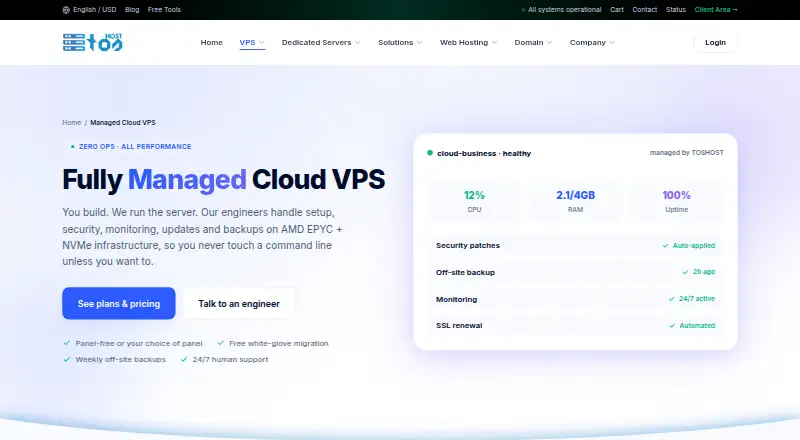 TOSHOST Managed VPS screenshot