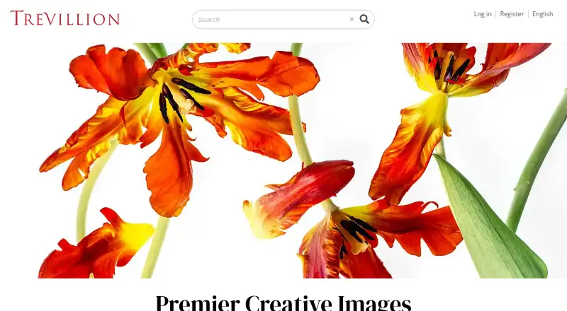 Trevillion Images screenshot