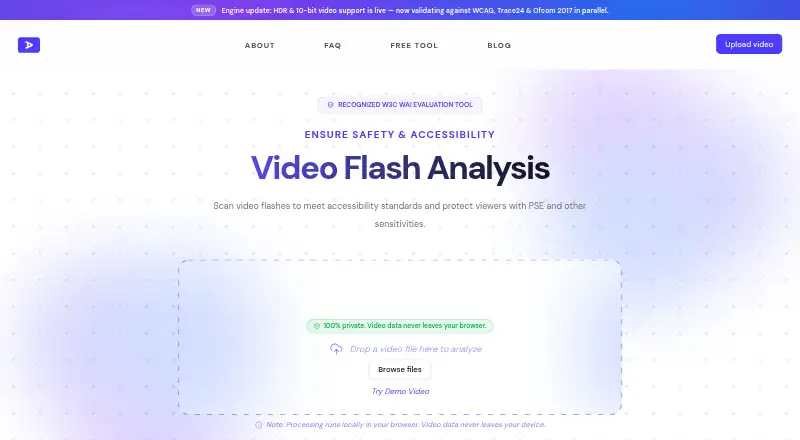 Video Audit screenshot