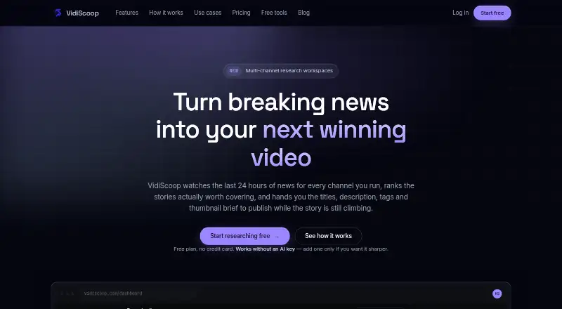 VidiScoop screenshot
