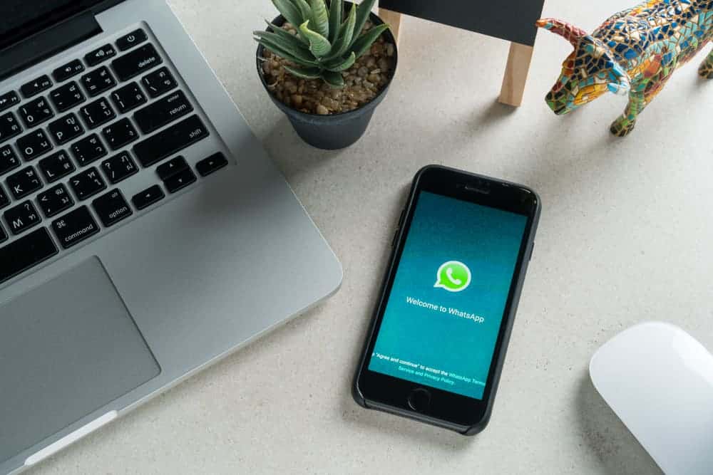 Whatsapp PC