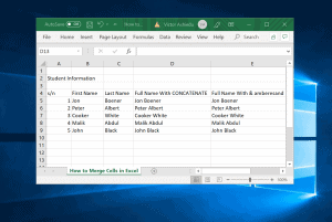 How to Merge Cells in Excel in 2 Easy Ways