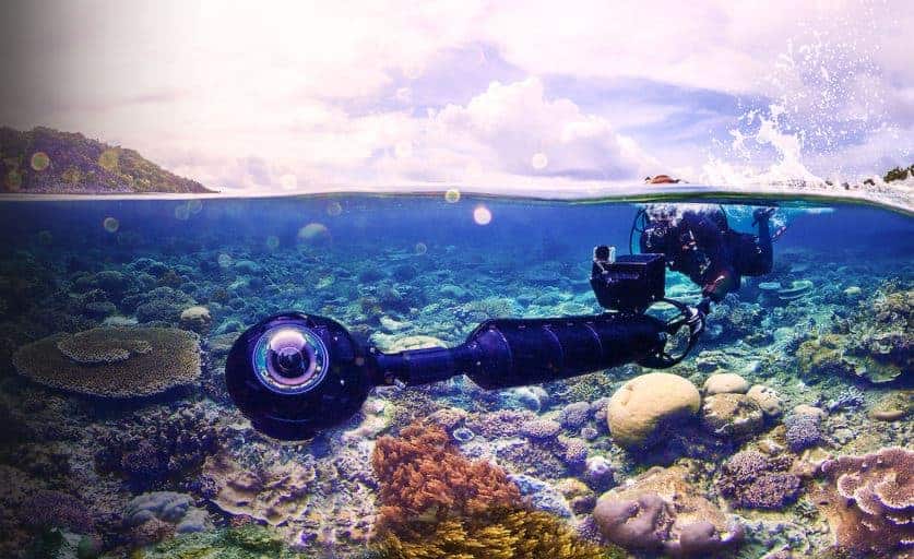 Best Netflix Original Movies: Chasing Coral 