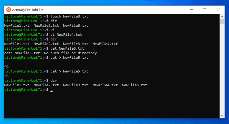 How to Create a file in Linux (5 Methods) | Itechguides.com