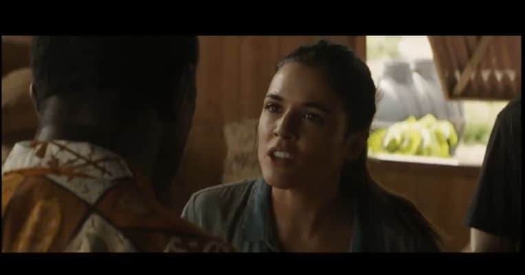 best international movies on Netflix: Palm tree in the snow