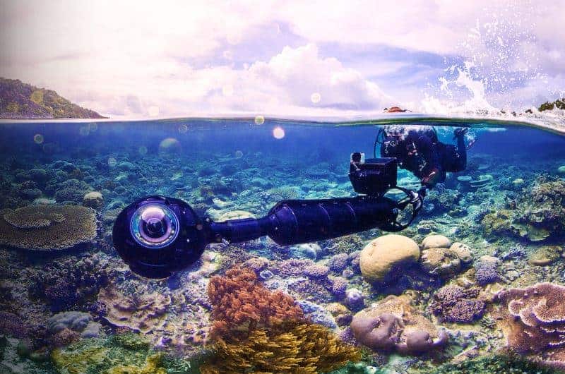 Best Documentaries on Netflix: Chasing Coral