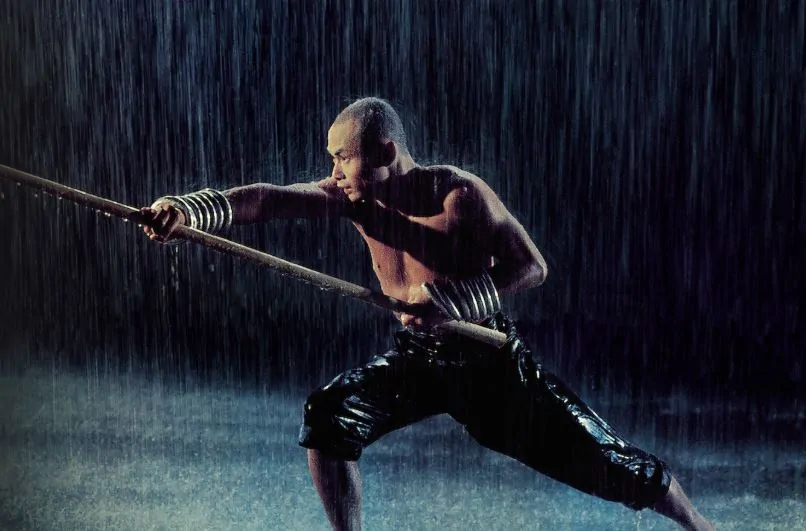 Best Kung Fu Movies on Netflix: The 36th Chamber of Shaolin