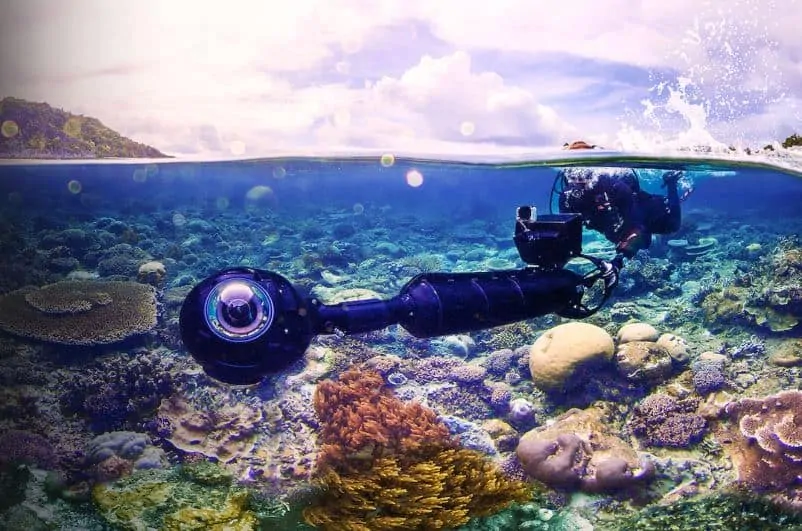 Best Nature Documentaries on Netflix: Chasing Coral