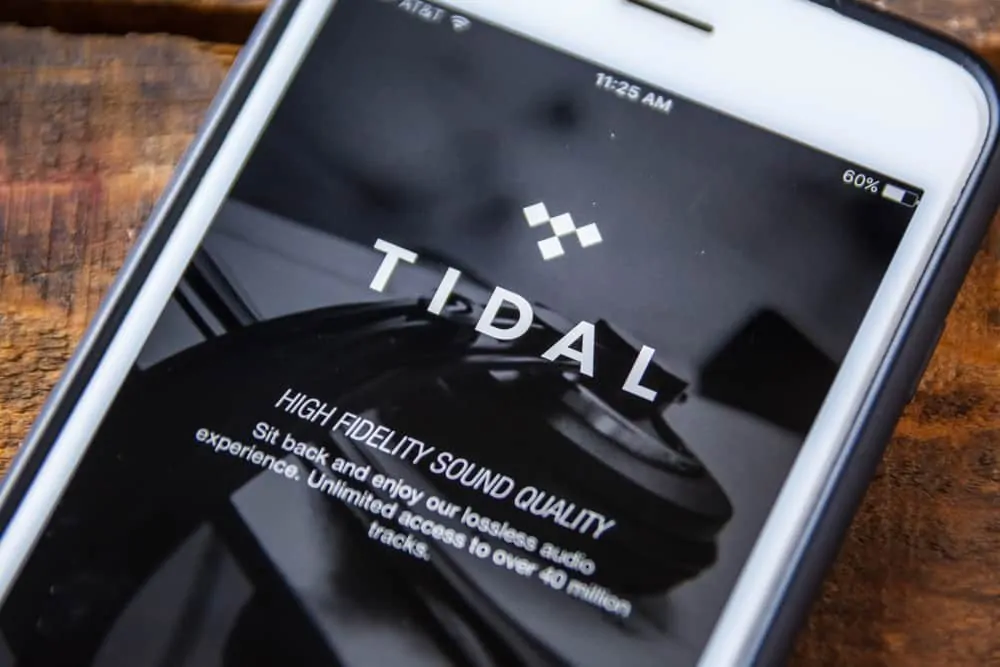 Top Online Music Stores: Tidal