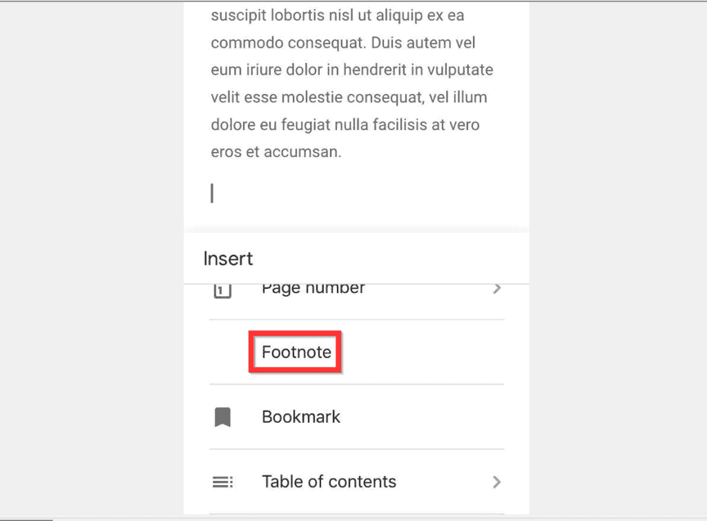 footnote in google docs