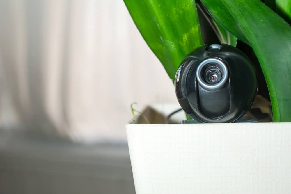 The 5 Best Hidden Cameras