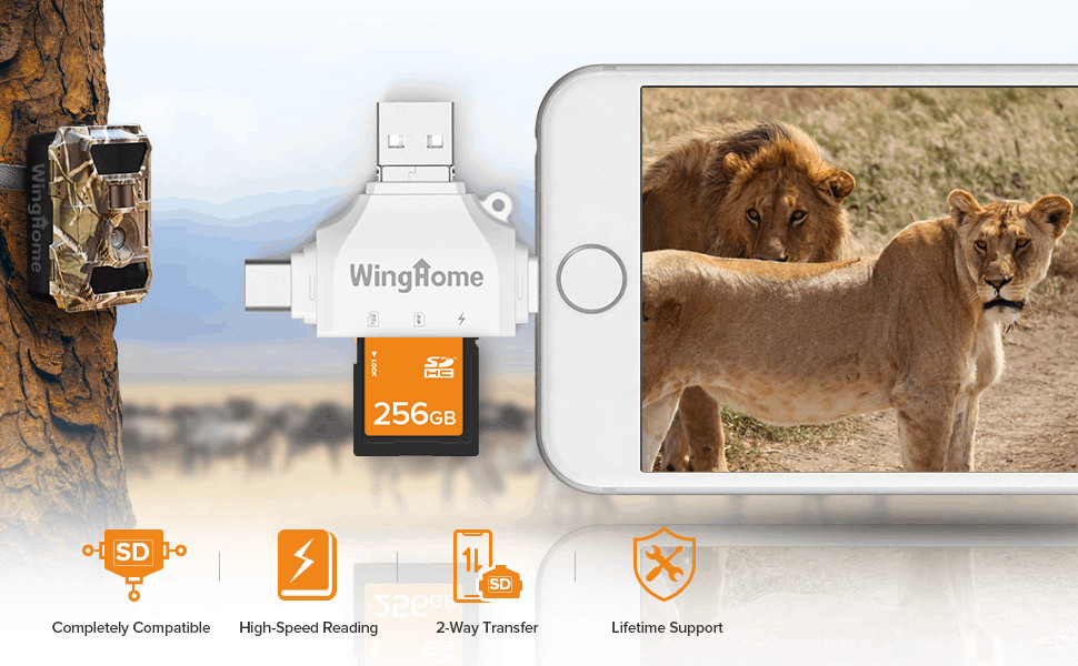 The 5 Best SD Card Readers - number 4 - WingHome Trail Camera Card Viewer 
