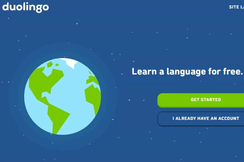 Best Online Spanish Course: Duolingo