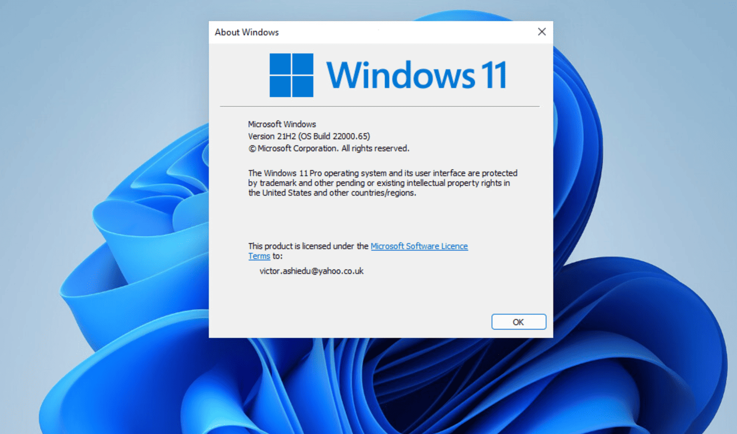 windows 10 to 11 update not showing