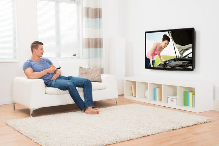 VIZIO D-Series 32 Review: An Average TV at an Affordable Price