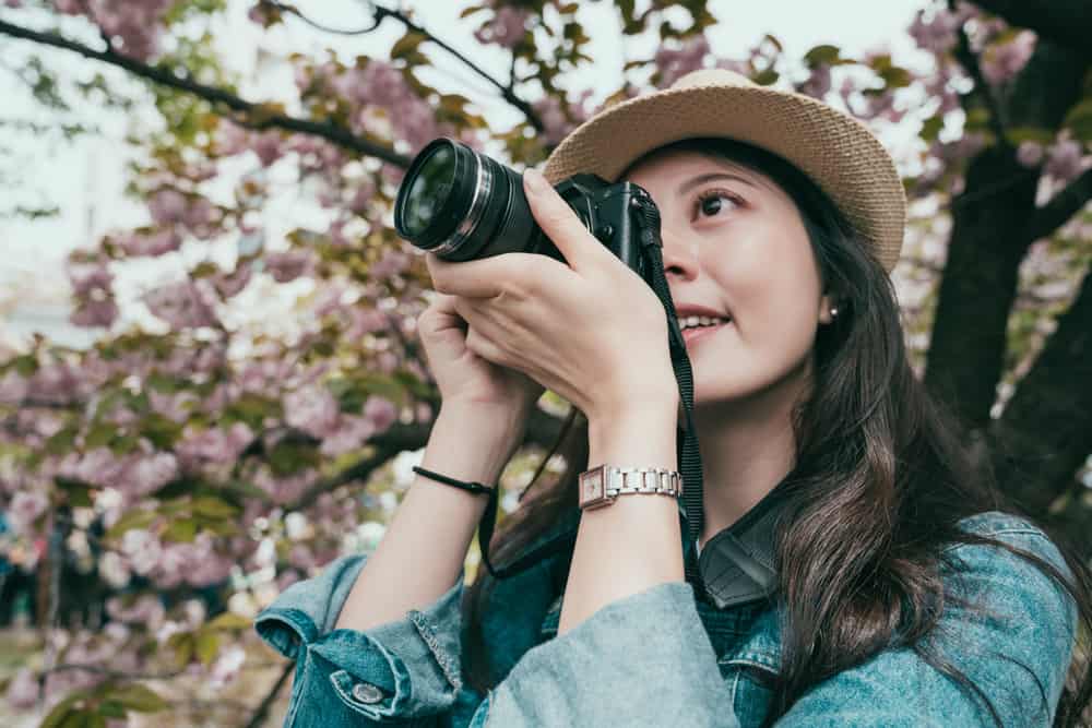 canon sx540hs specs