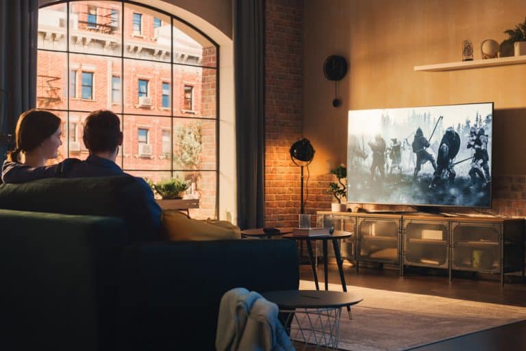 VIZIO D60 D3 Review: Perfect for Big Screen Lovers