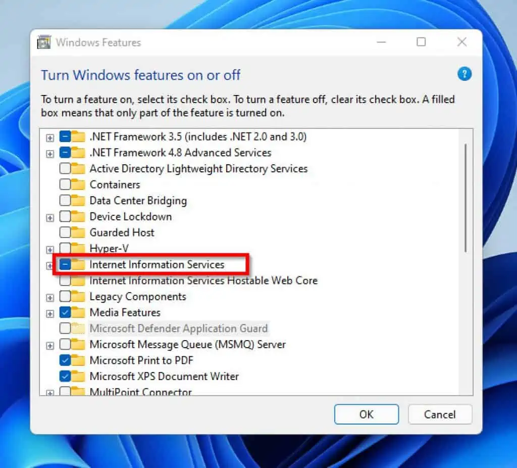 How to Install IIS in Windows 11 