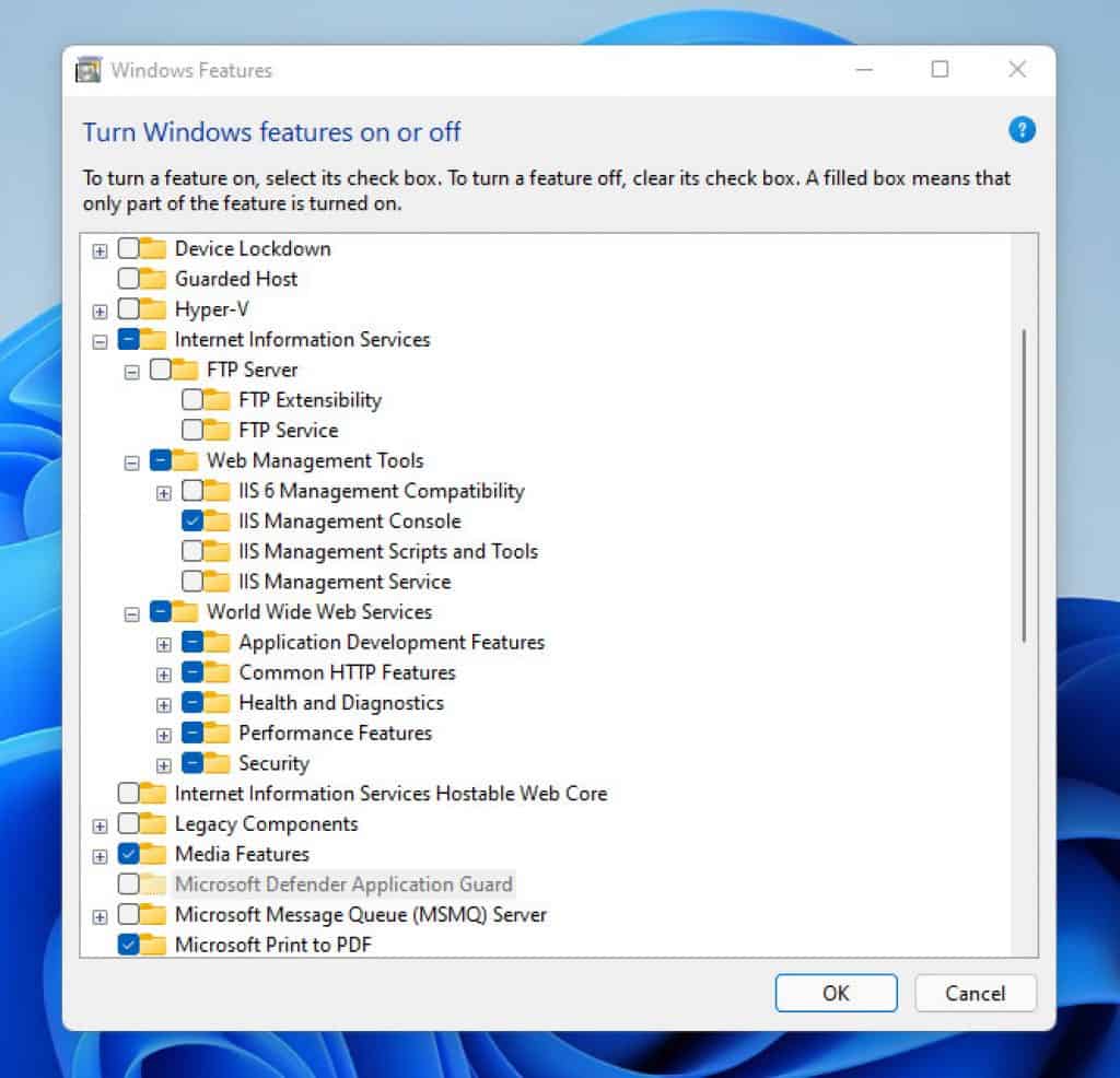 How to Install IIS in Windows 11 