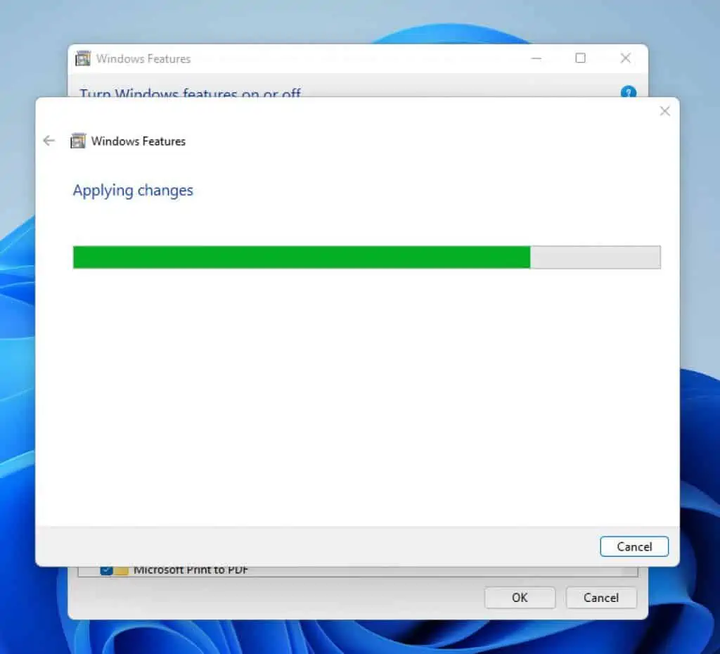 How to Install IIS in Windows 11 