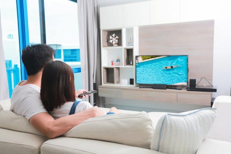 VIZIO D32x-D1 Review: A 32-inch Smart TV with Decent Qualities