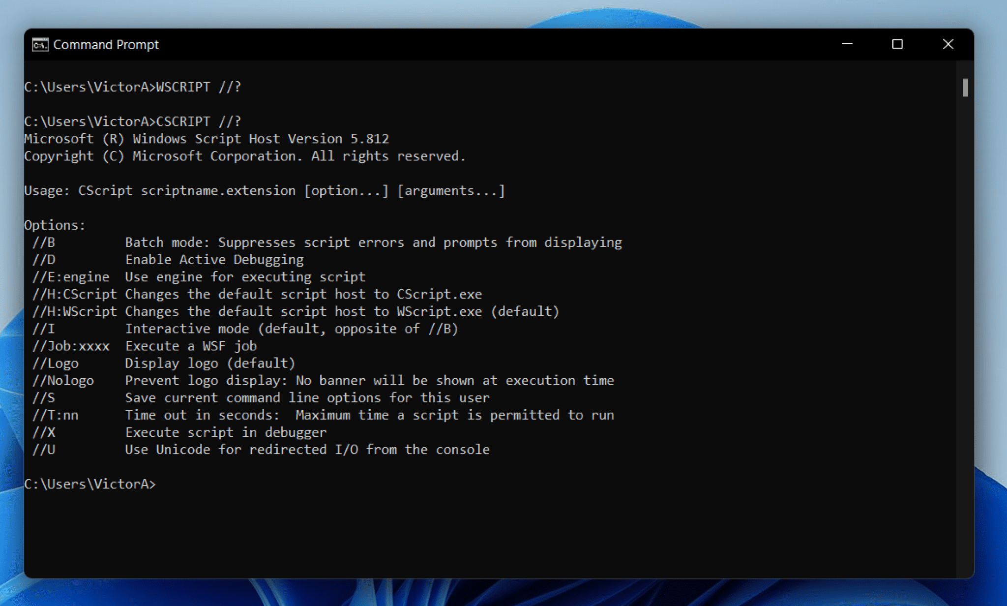 WSCRIPT vs CSCRIPT: Which is Better for Executing Scripts?