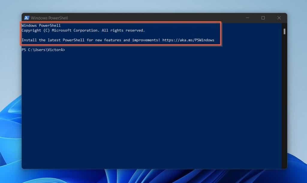 PowerShell.exe, with the -NoLogo command line argument. 