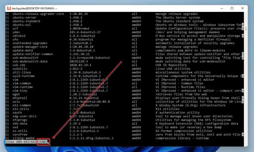How To Remove Packages In Ubuntu Through Terminal