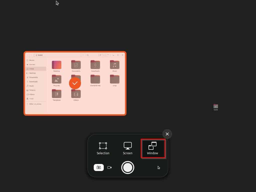 Screenshot On Linux Through The GUI