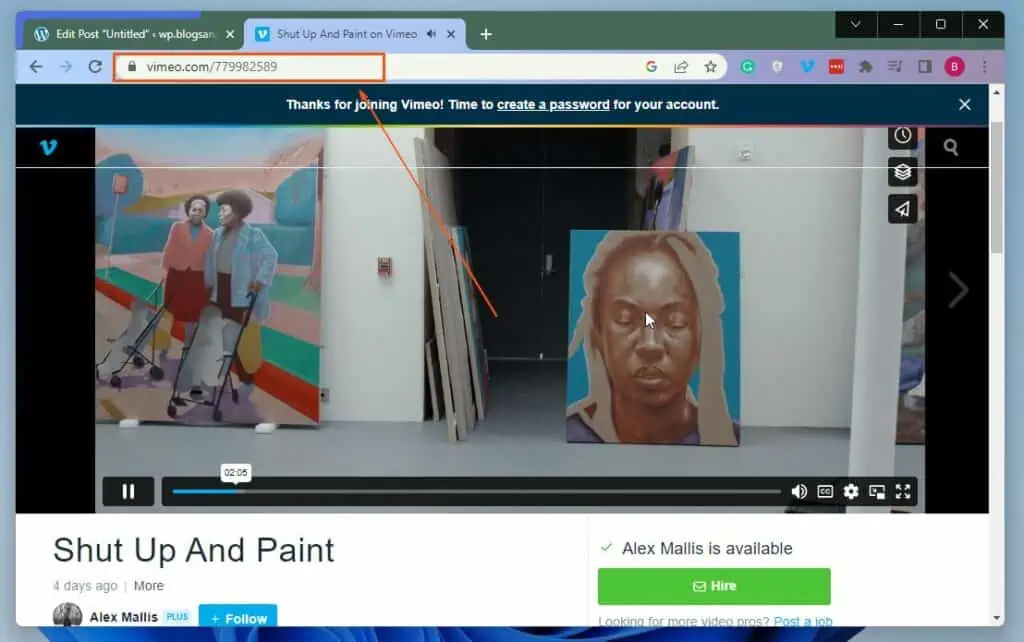 How to Embed a Vimeo Video in WordPress Itechguides