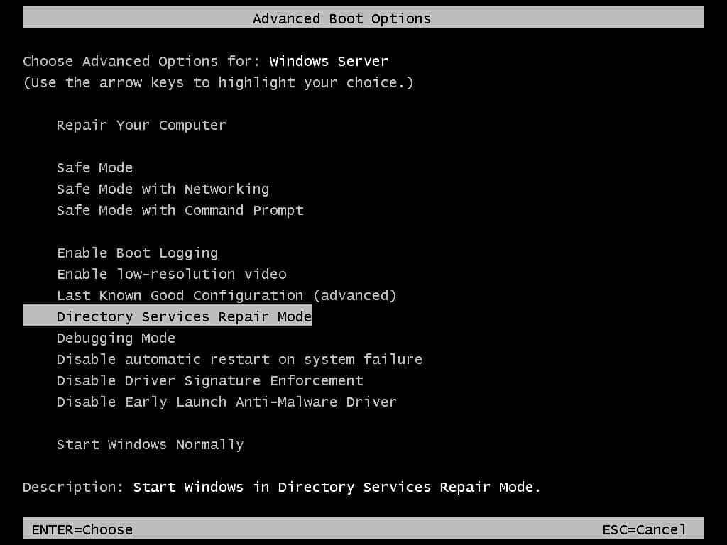Select Directory Services Repair Mode and Press enter