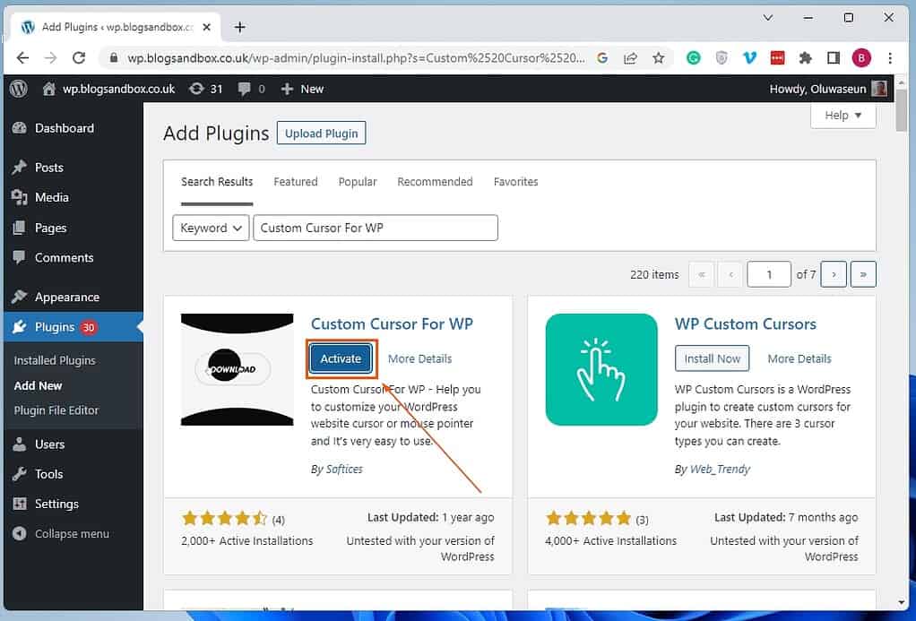 How To Install And Activate Custom Cursor For WP Plugin In WordPress