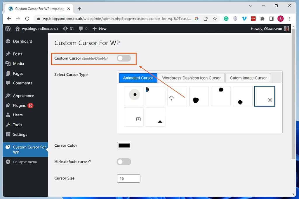How To Create A Custom Cursor Using Custom Cursor For WP Plugin 