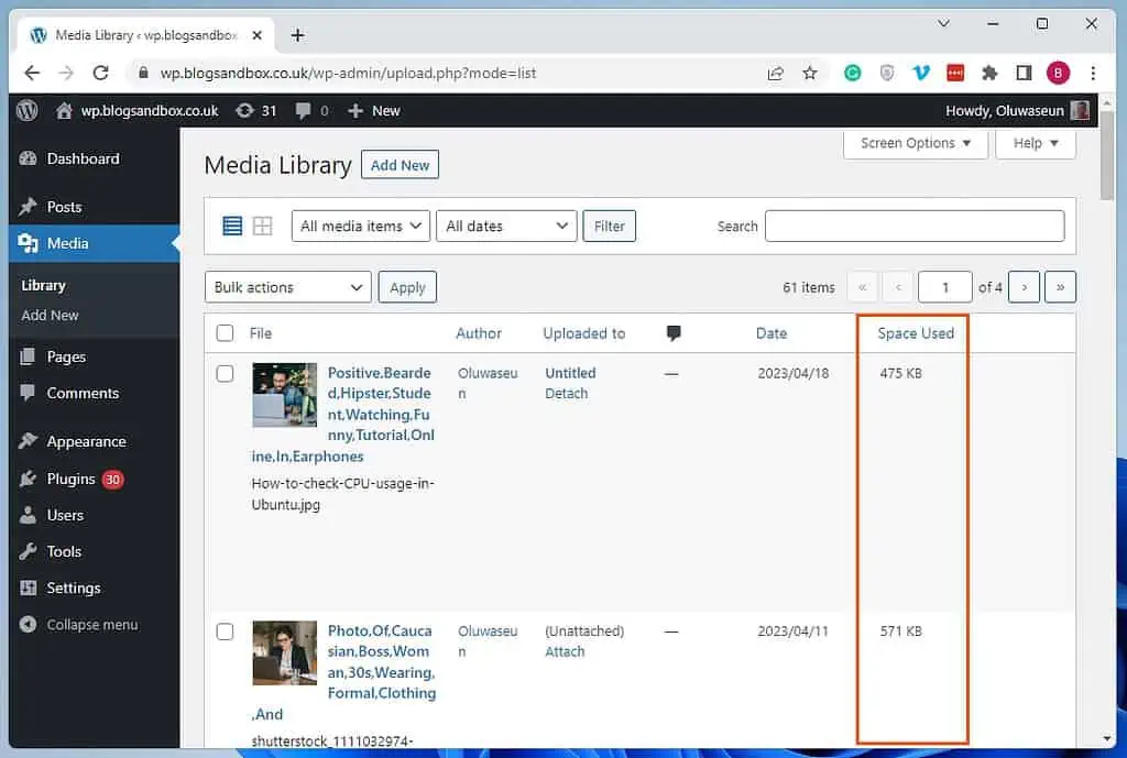 Display File Size In WordPress Using A Plugin 