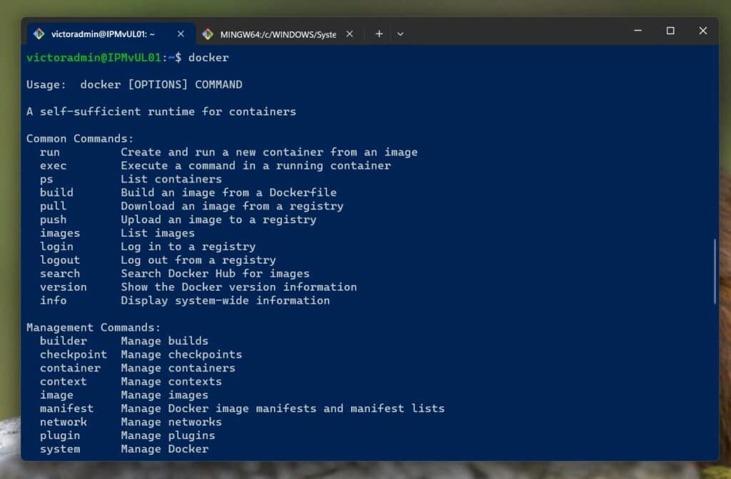 Step 2: Start the Jenkins Container with a Docker Volume