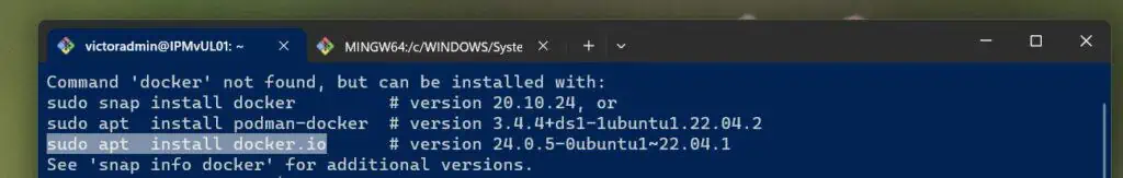 How to Install Jenkins on Ubuntu with a Docker Container - Install Docker with the 'sudo apt install docker.io' command