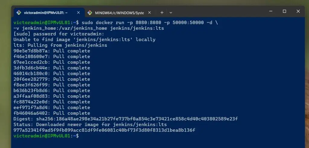 How to set up Jenkins on Ubuntu with a Docker Container - Step 2: Start the Jenkins Container with a Docker Volume